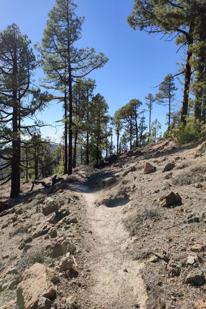 La Caldera Forest Tour